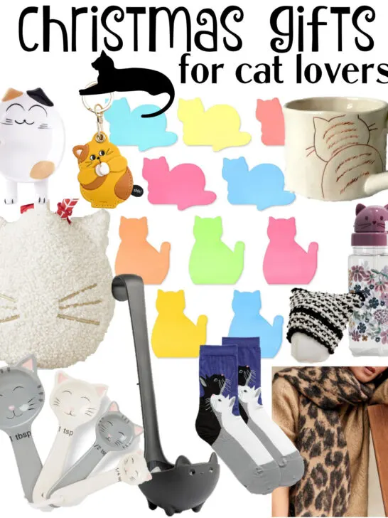 gifts for cat lovers