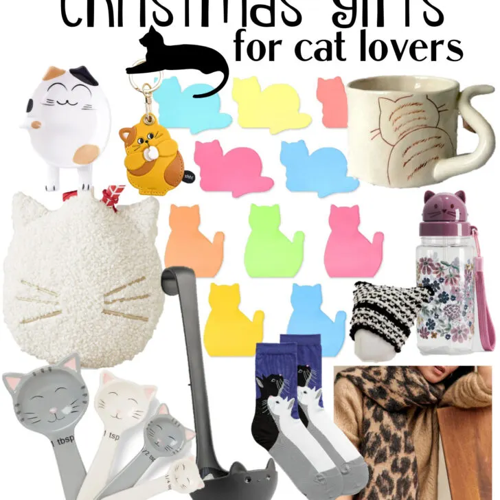 gifts for cat lovers