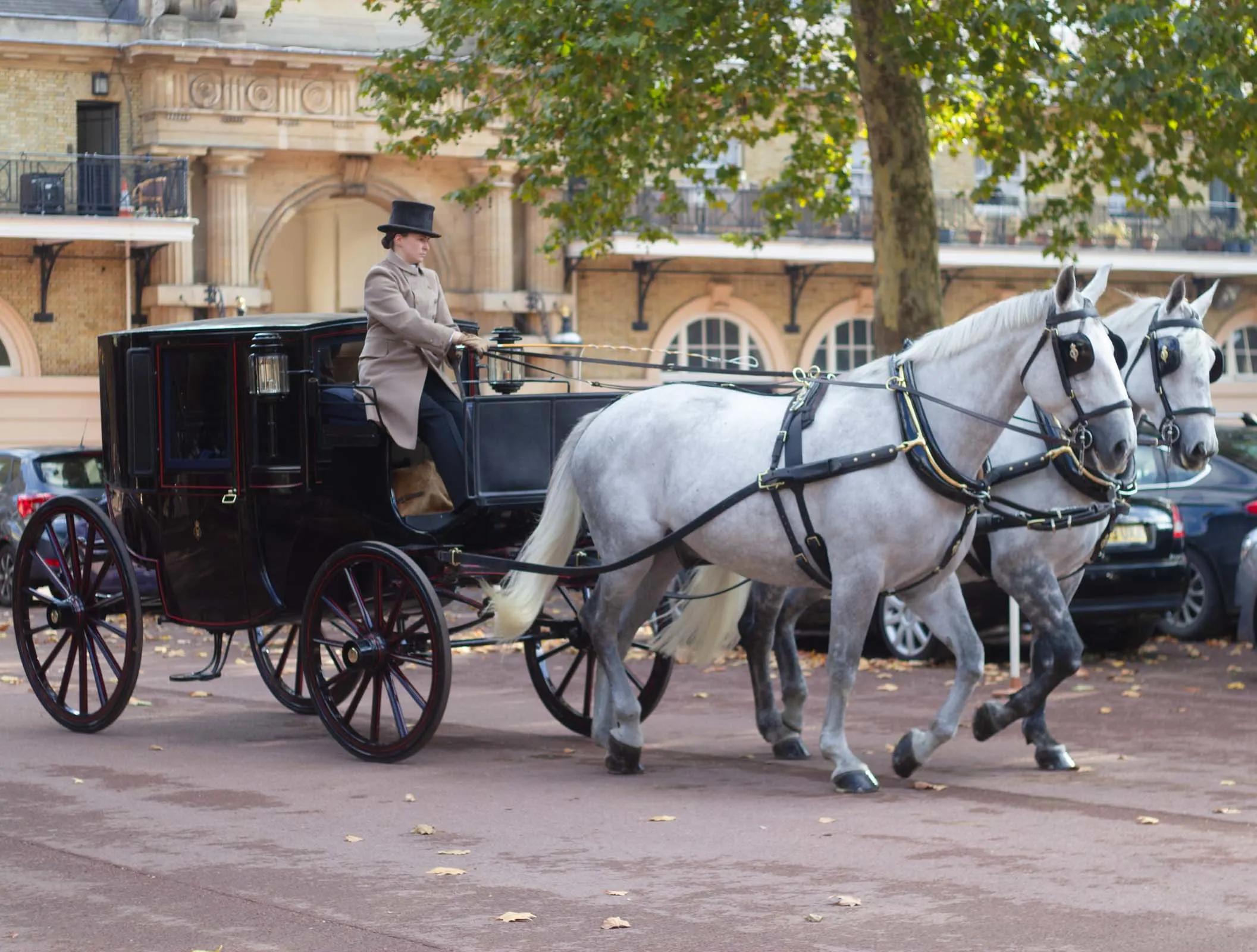 royal mews buckingham palace