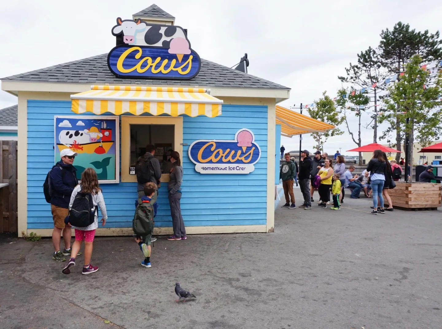 Cows Ice Cream Halifax