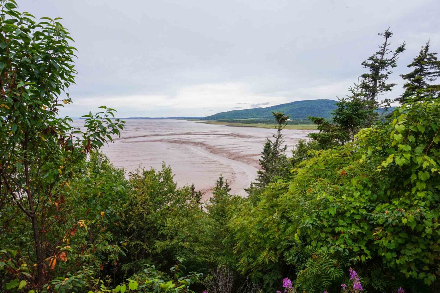 Hopewell Rocks New Brunswick