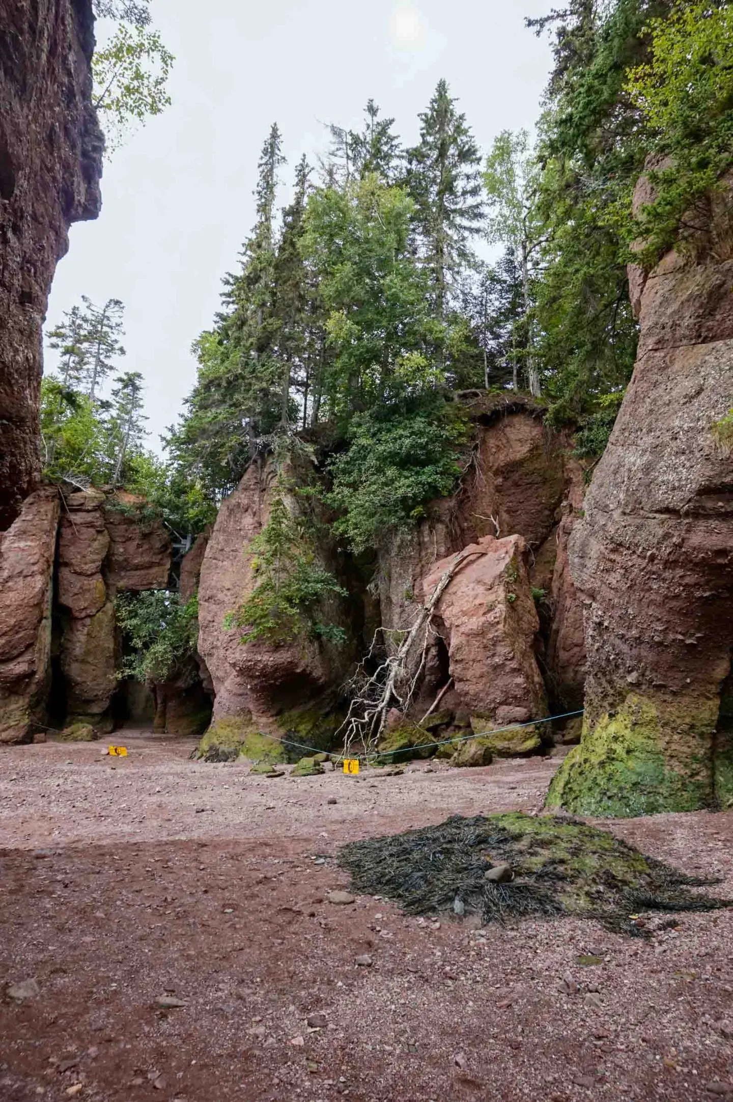 Hopewell Rocks Bay of Fundy New Brunswick