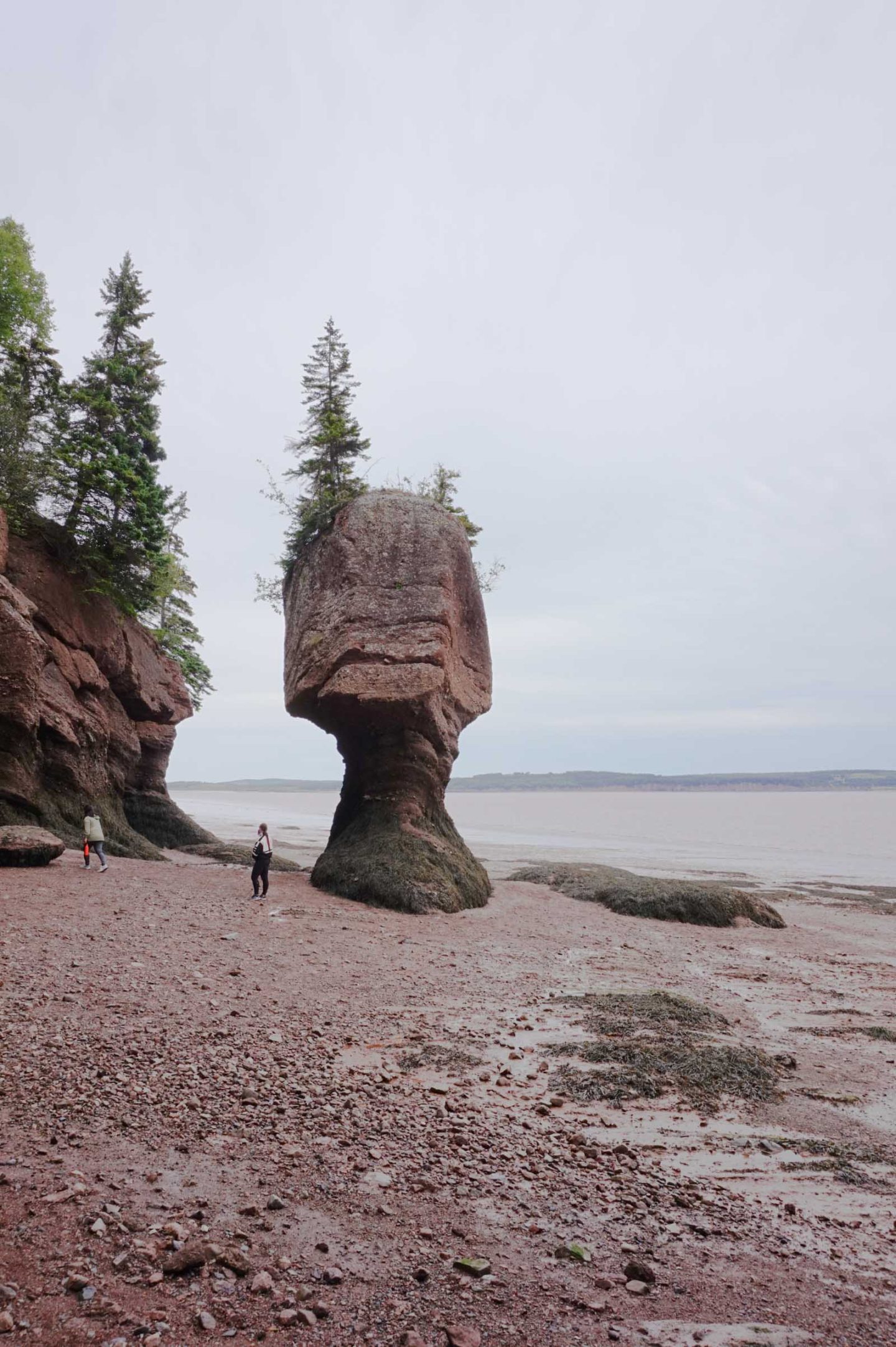 hopewell rocks bay of fundy New Brunswick