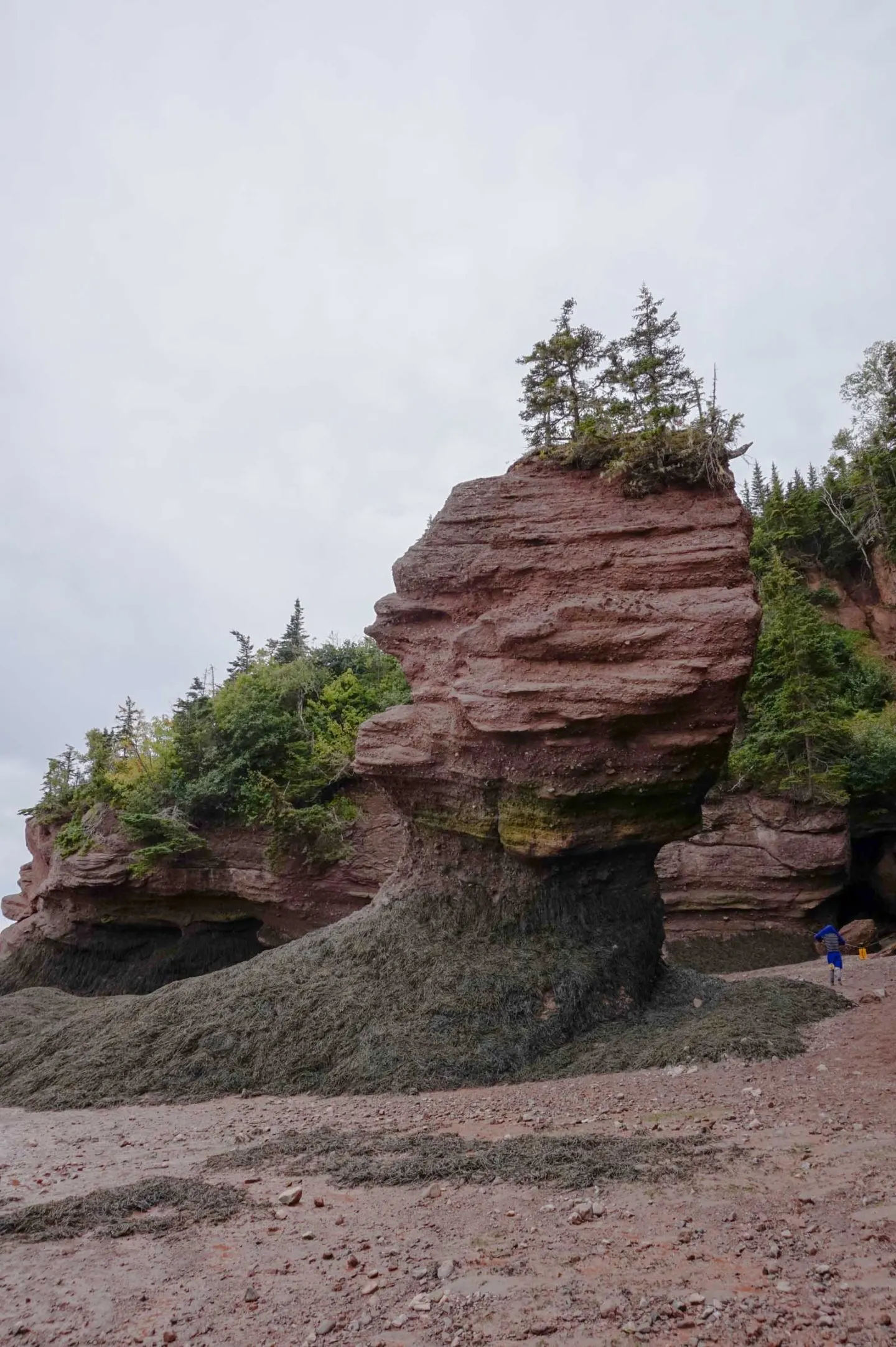 hopewell rocks new brunswick