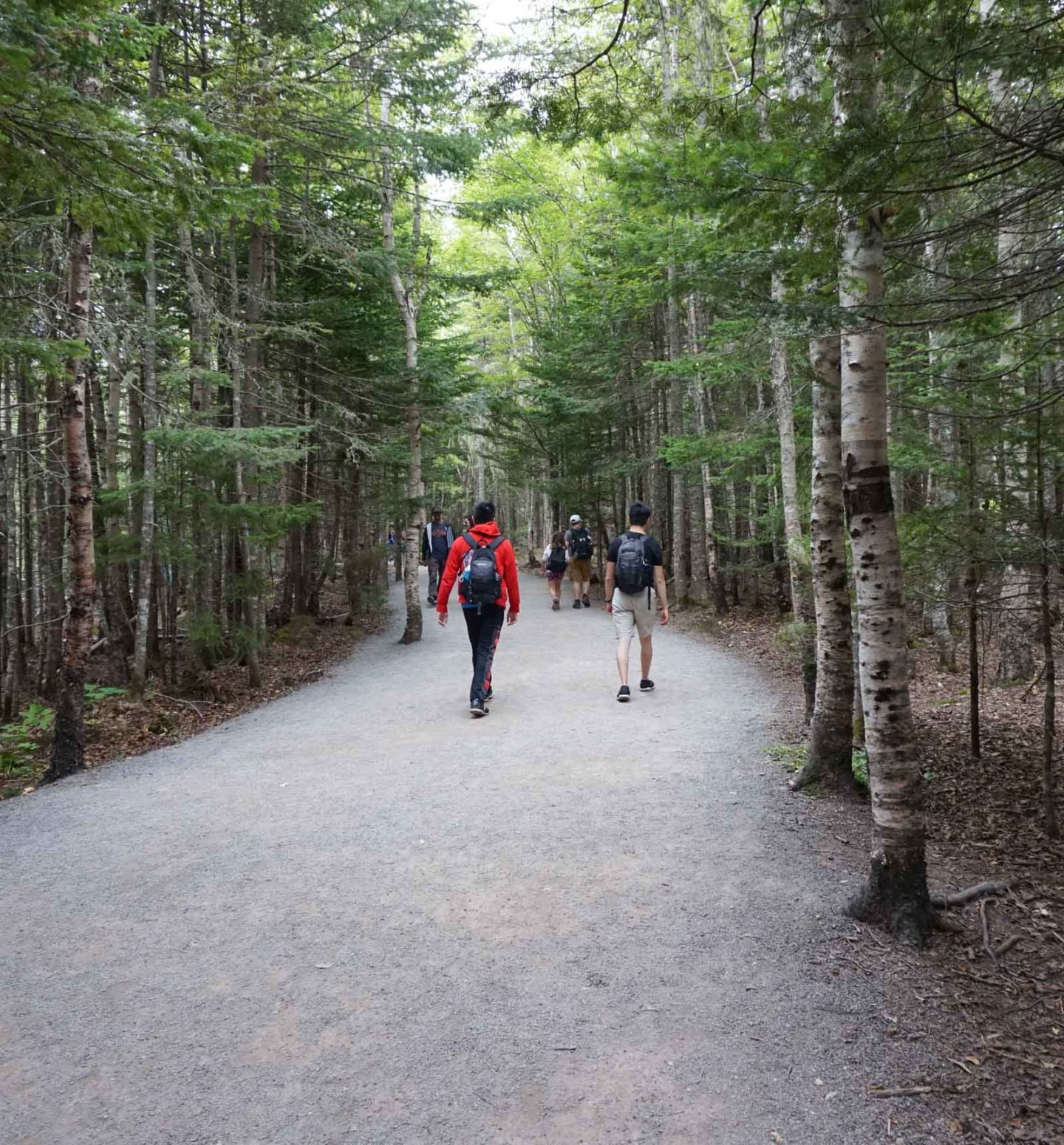 Hike to Hopewell Rocks, Bay of Fundy