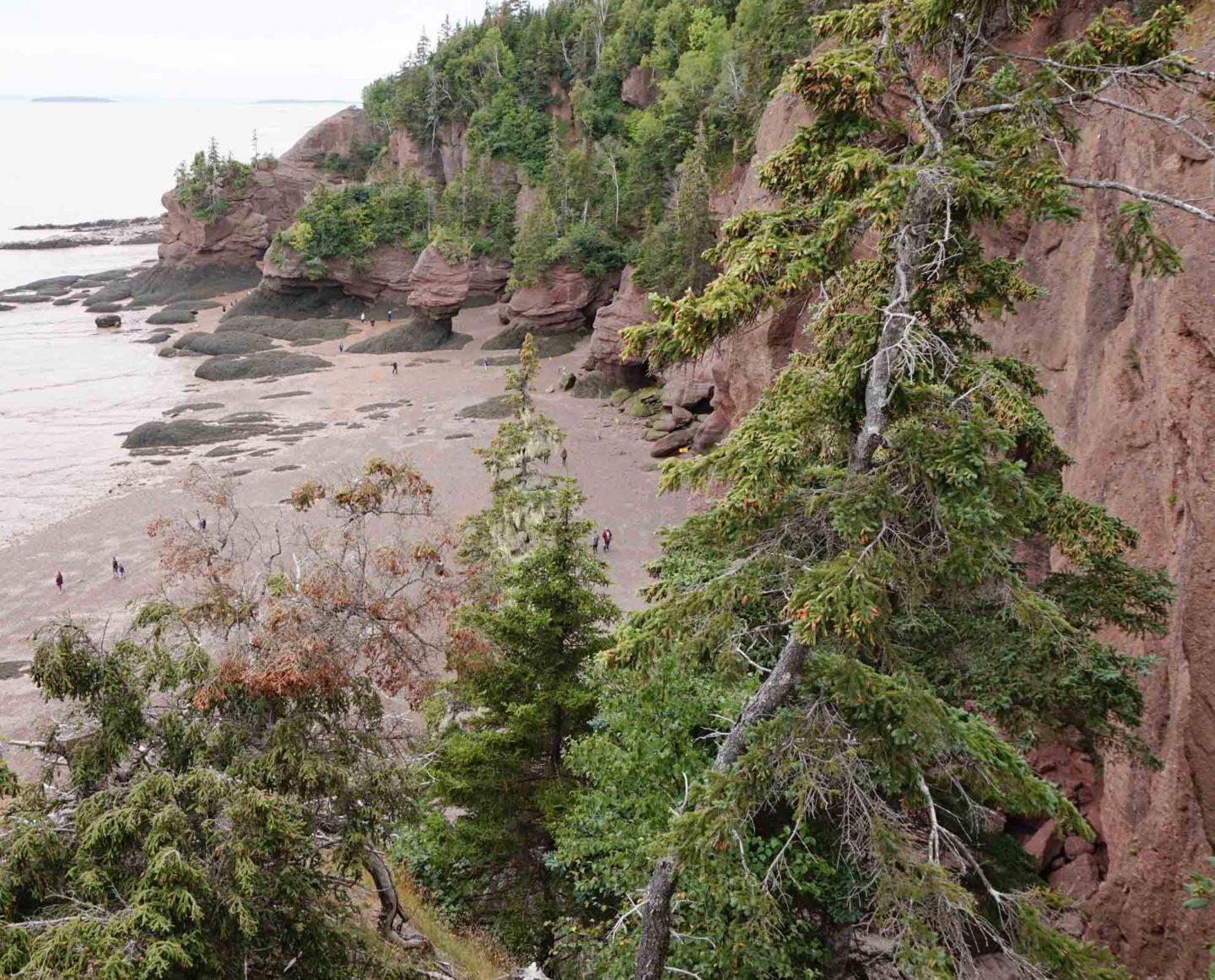 Hopewell Rocks New Brunswick Canada, Bay of Fundy