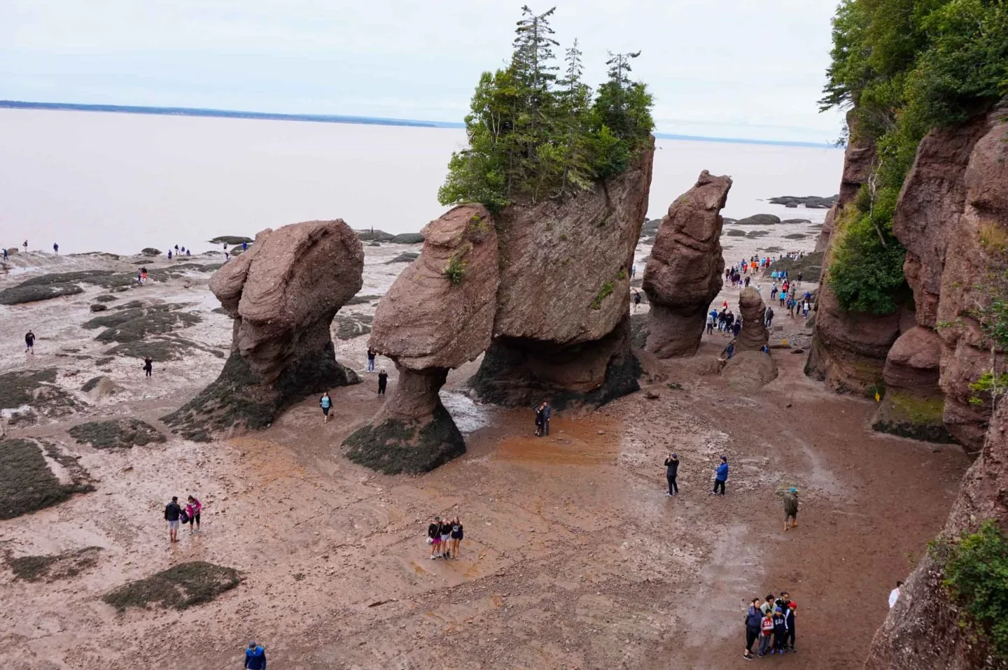 hopewell rocks New Brunswick Bay of Fundy