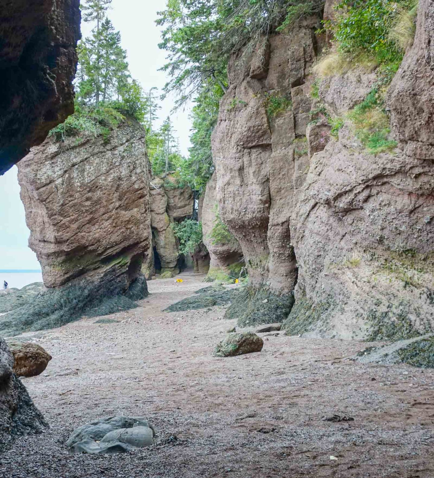 Bay of Fundy ocean floor