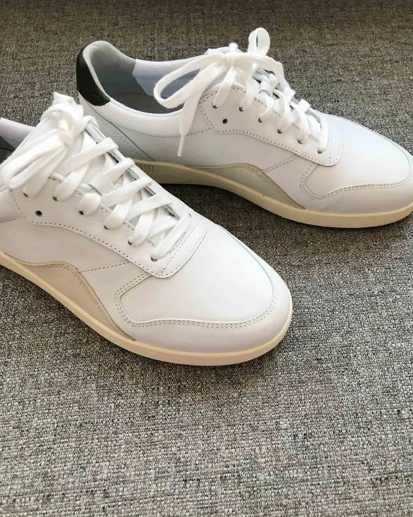 everlane court sneaker