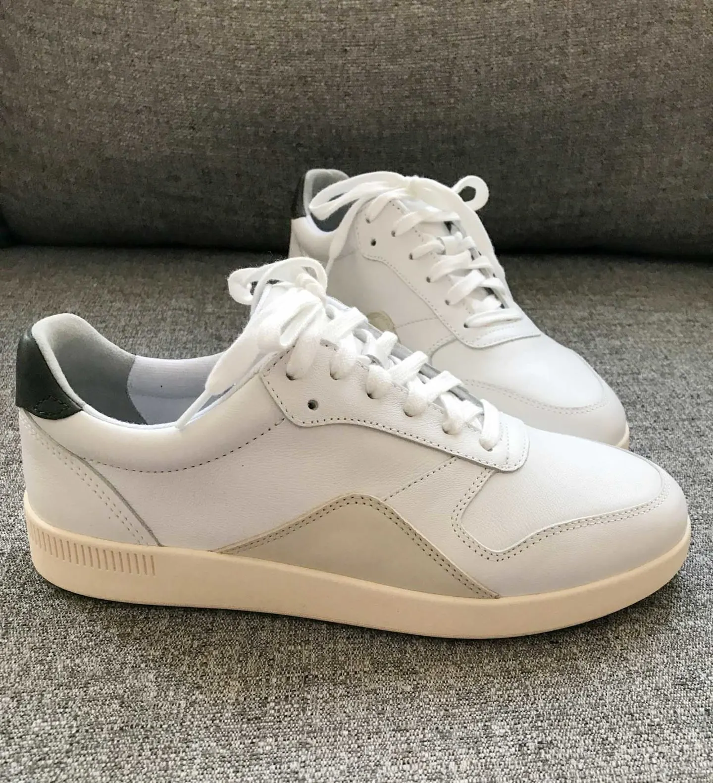 everlane court sneaker