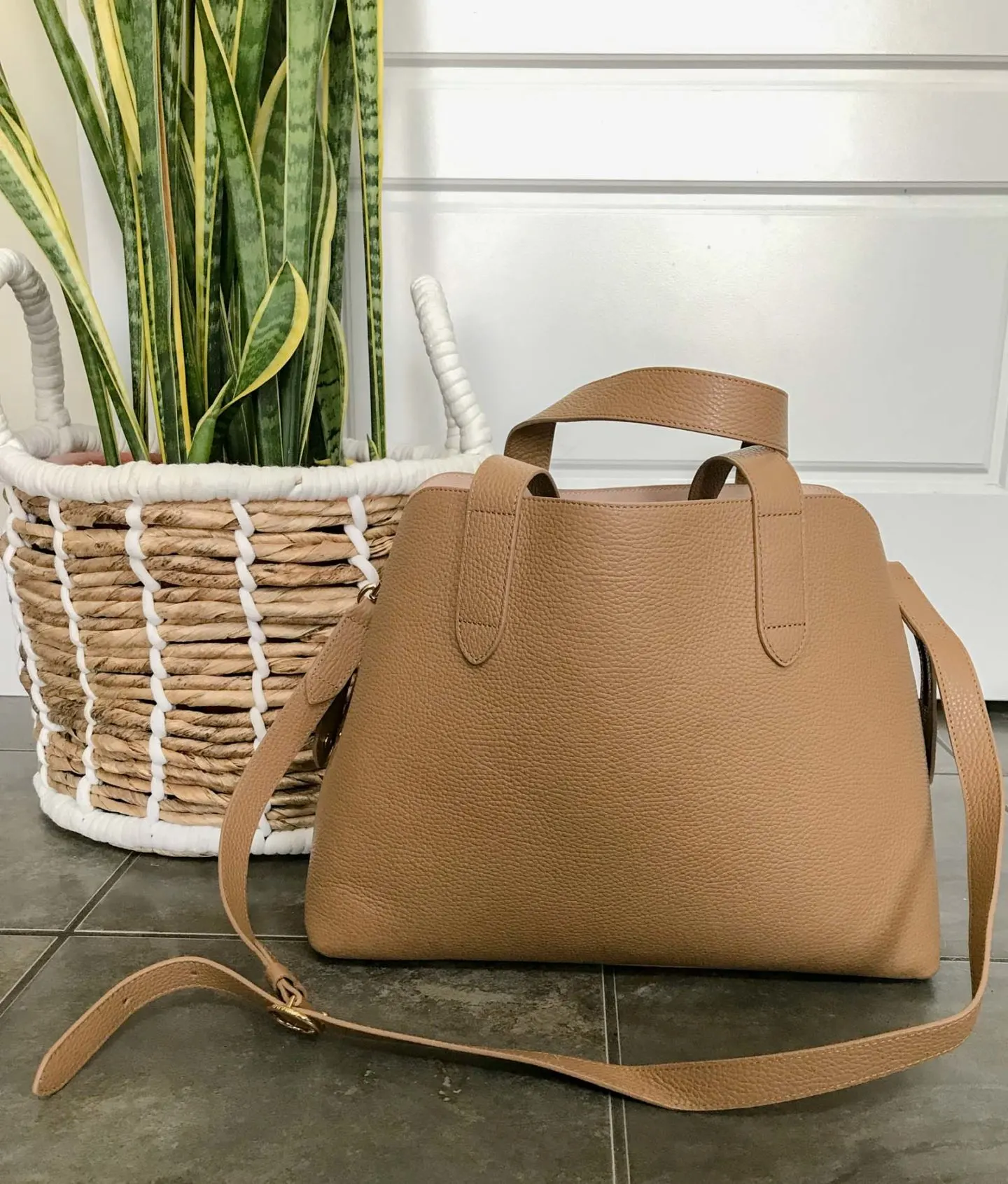 cuyana zippered satchel review