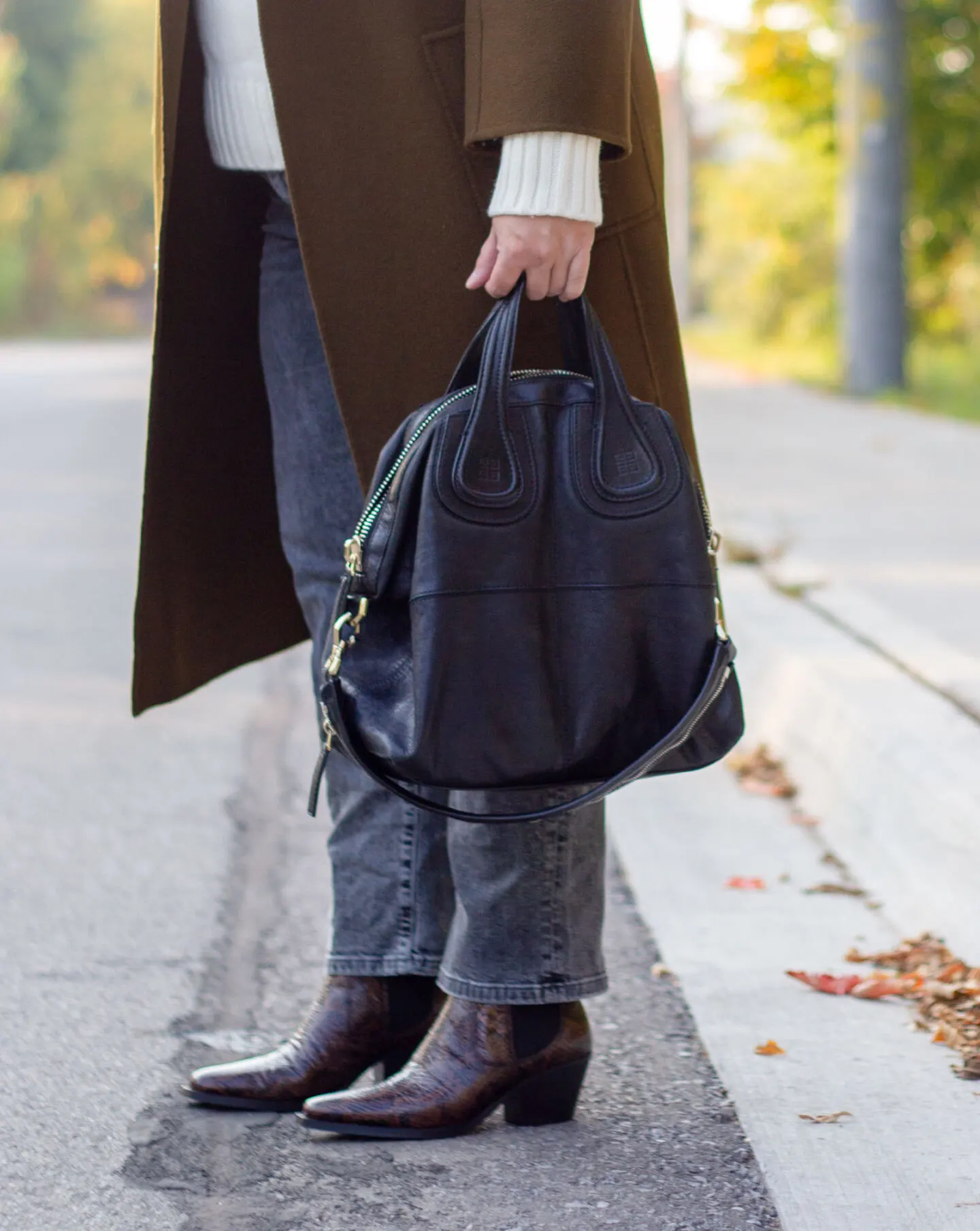 Everlane Western Boot in snake