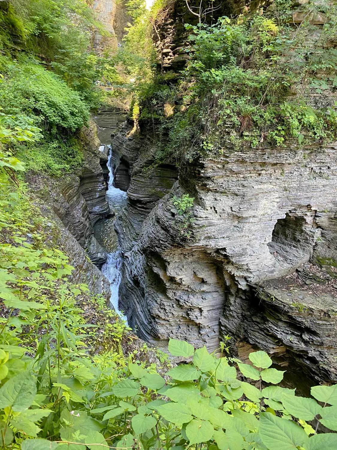 things to do at watkins glen state park