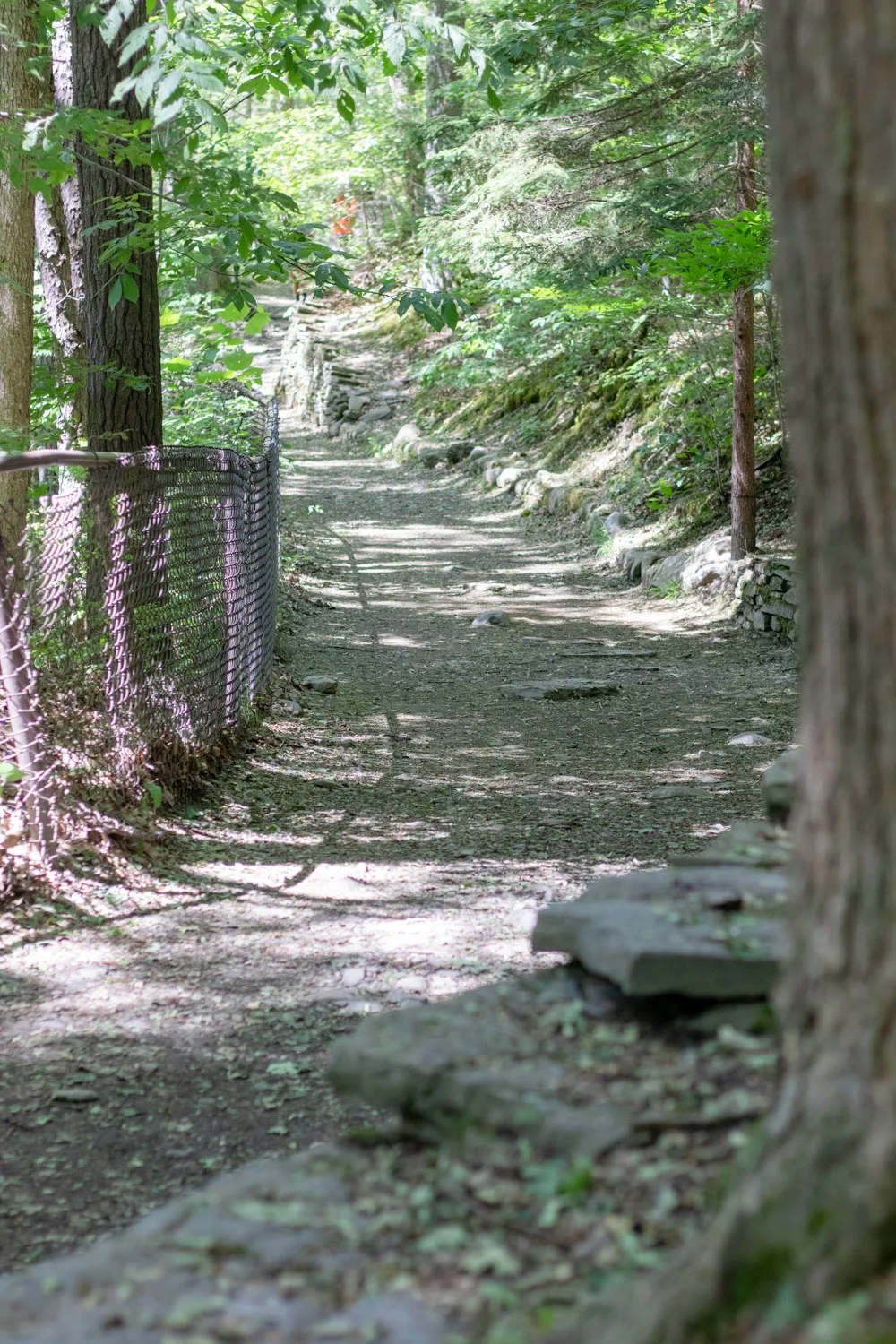 Indian Trail Watkins Glen