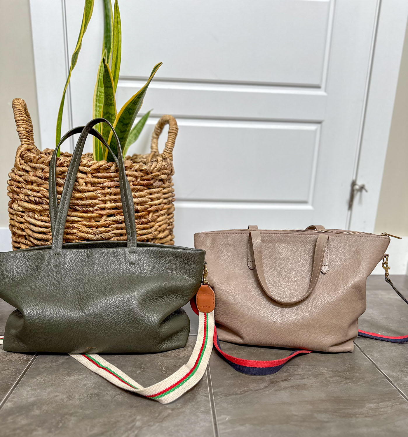 cuyana small easy tote review