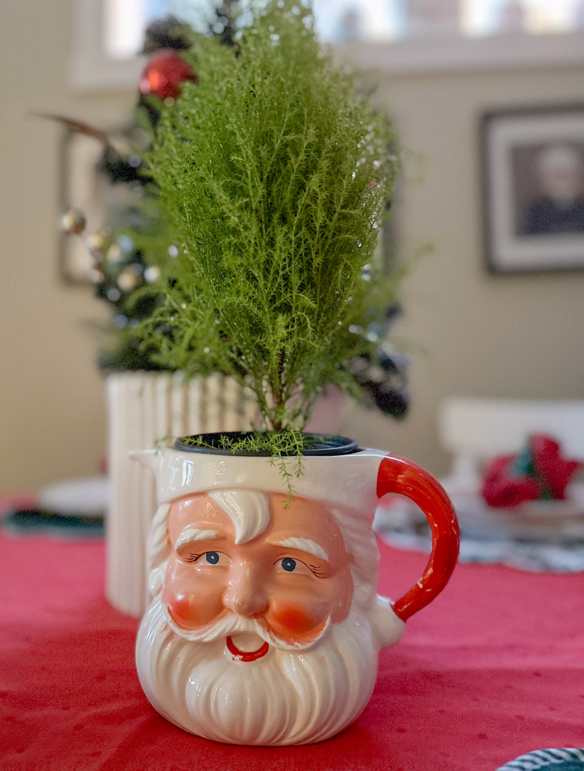 mini christmas tree in  vintage Santa pitcher