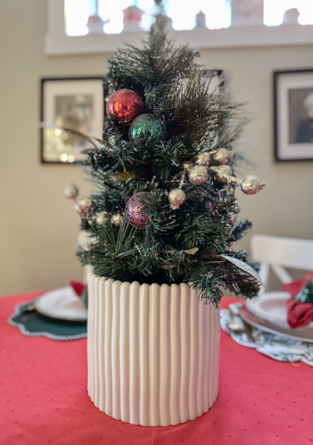 mini christmas tree in plant pot