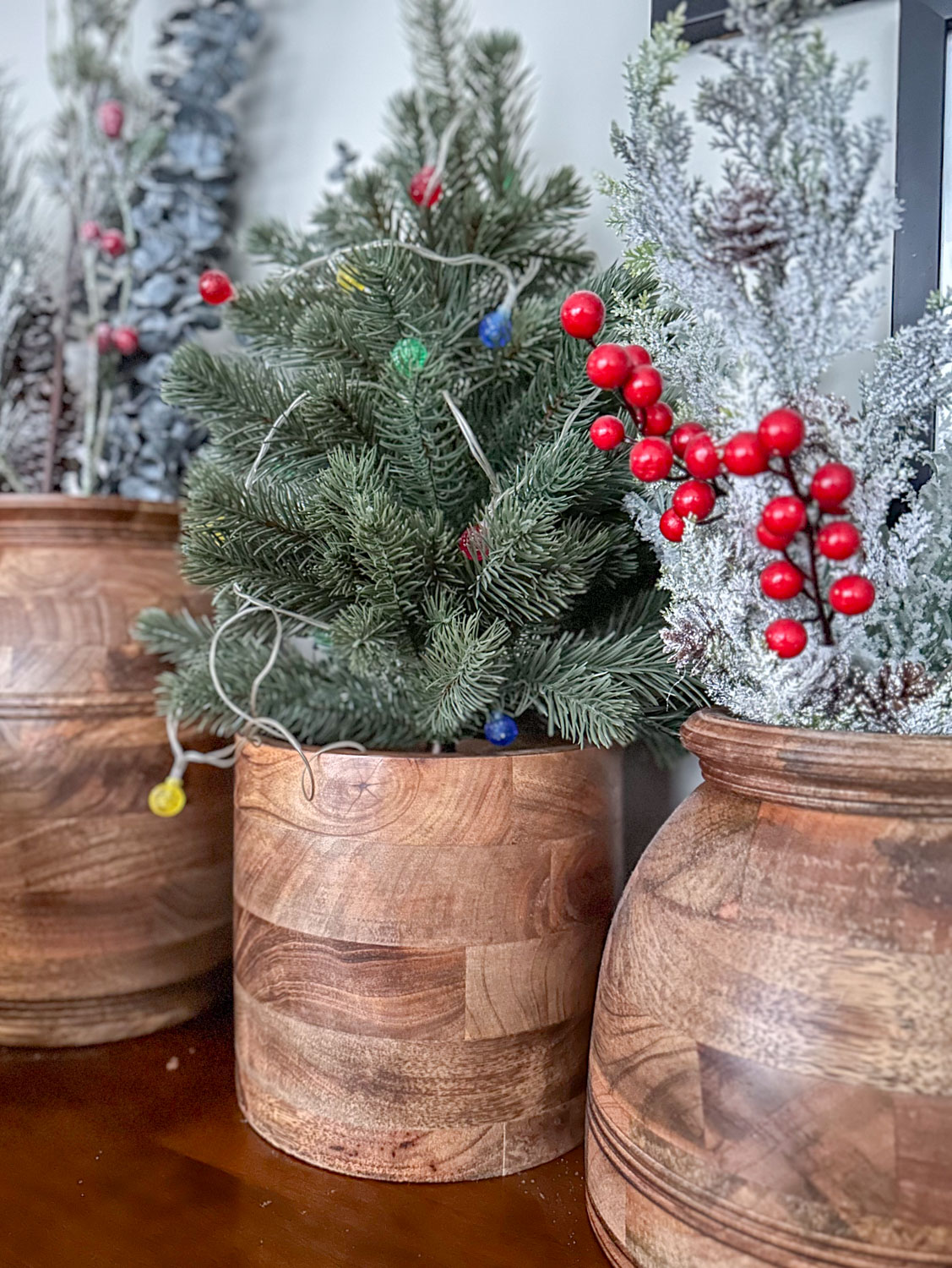 mini christmas tree in plant pot