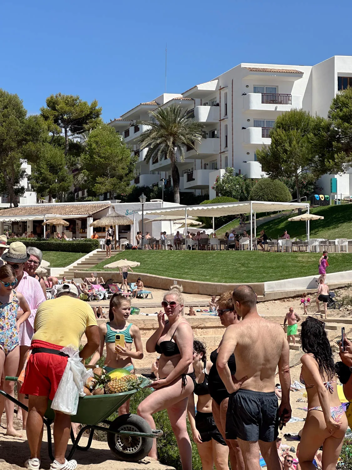 fruit guy cala esmerelda