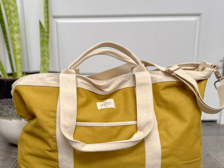 sezane maxi tote, sezane weekender bag